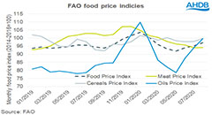 Surge in Chinese imports pushes global pig prices ..