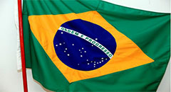 Brazil earns 11.3% less with chicken exports