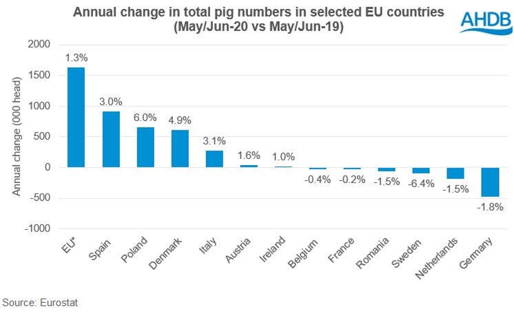 Slight rise in the EU pig population