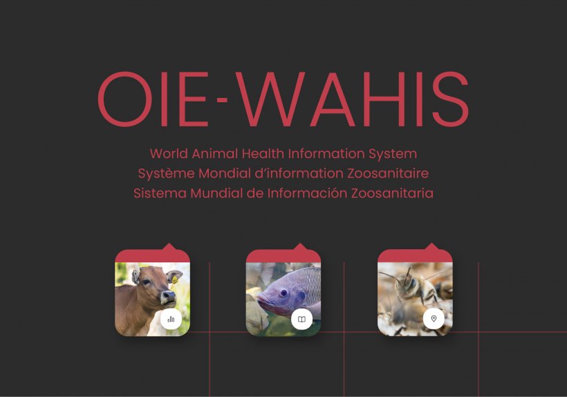 OIE-WAHIS: Providing open access to animal health ..